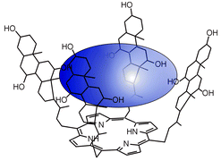 Graphical abstract: Steroid–porphyrin conjugate for saccharide sensing in protic media