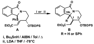 Graphical abstract: Stereoselective tetrapyrido[2,1-a]isoindolone synthesis via carbanionic and radical intermediates: a model study for the Tacaman alkaloid D/E ring fusion