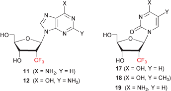 Graphical abstract: Synthesis and antiviral evaluation of 2′-deoxy-2′-C-trifluoromethyl β-d-ribonucleoside analogues bearing the five naturally occurring nucleic acid bases