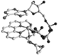 Graphical abstract: Protonated macrocyclic Zn(ii) complexes as polyfunctional receptors for ATP