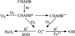 Graphical abstract: EPR studies of the photodynamic properties of a novel potential photodynamic therapeutic agent: photogeneration of semiquinone radical anion and active oxygen species (O2˙−, OH˙, H2O2 and 1O2)