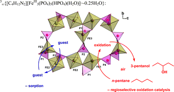 Graphical abstract: Open-framework iron phosphates: Syntheses, structures, sorption studies and oxidation catalysis