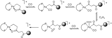 Graphical abstract: Catalyst design and mechanistic aspects of the alternating copolymerisation of ethene and carbon monoxide by diphosphine-modified palladium catalysis