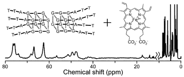 Graphical abstract: Coordination complex between haemin and parallel-quadruplexed d(TTAGGG)