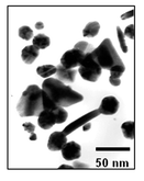 Graphical abstract: Bioreduction of chloroaurate ions by geranium leaves and its endophytic fungus yields gold nanoparticles of different shapes