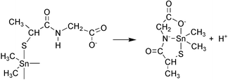 Graphical abstract: Thiolate anchor in organotin(iv) induced amide deprotonation: equilibrium and NMR spectroscopic studies on dimethyltin(iv) complexes formed with N-(2-mercaptopropionyl)glycine and l-alanyl-glycine