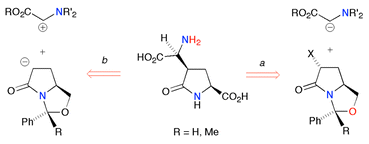 Graphical abstract: Pyrrolidinones derived from (S)-pyroglutamic acid: penmacric acid and analogues