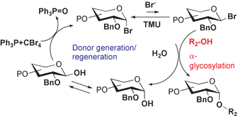 Graphical abstract: An easy access to halide ion-catalytic α-glycosylation using carbon tetrabromide and triphenylphosphine as multifunctional reagents