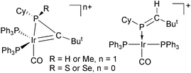 Graphical abstract: The reactivity of an iridaphosphirene complex, [Ir{ [[double bond, length as m-dash]] C(But)P(Cy)}(CO)(PPh3)2], Cy = cyclohexyl, toward electrophiles