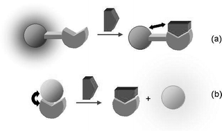 Graphical abstract: The design of fluorescent sensors for anions: taking profit from the metal–ligand interaction and exploiting two distinct paradigms