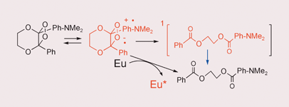Graphical abstract: Reversible formation of excited states in intramolecular donor assisted chemiluminescence reactions of dioxetanes
