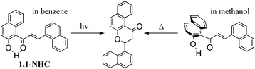 Graphical abstract: Mechanistic approach to the cyclization reaction of a 2′-hydroxychalcone analogue with light and solvent