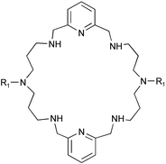 Graphical abstract: Metal complexes of a dipyridine octaazamacrocycle: stability constants, structural and modelling studies