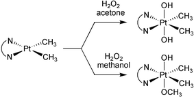 Graphical abstract: Synthesis, characterization, and acid–base properties of (N–N)PtIV(CH3)2(OH)2 − x(OCH3)x (x = 0, 1) complexes