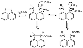 Graphical abstract: Enantioselectivity in the catalytic hydroesterification of acenaphthylene: direct evidence of the racemization of PdII-alkyl species by a degenerate substitution equilibrium with Pd0Ln