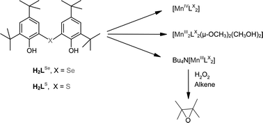 Graphical abstract: Manganese complexes of mixed O, X, O-donor ligands (X = S or Se): synthesis, characterization and catalytic reactivity