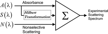 Graphical abstract: Absorption and scattering of light by suspensions of cells and subcellular particles: an analysis in terms of Kramers–Kronig relations