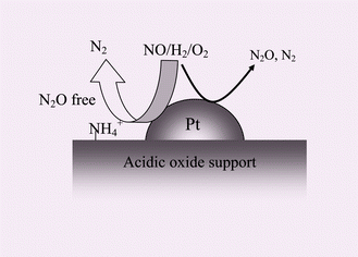 Graphical abstract: Nitrous oxide free pathway for selective reduction of NO by hydrogen over supported Pt catalysts