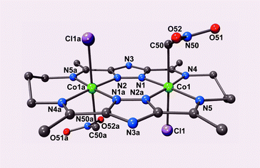 Graphical abstract: A dicobalt(ii) complex of a triazolate-containing macrocycle reacts with nitromethane to yield an organometallic dicobalt(iii) complex
