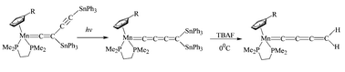 Graphical abstract: A facile and novel route to unprecedented manganese C4 cumulenic complexes