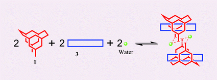 Graphical abstract: Water assisted formation of a pseudorotaxane and its dimer based on a supramolecular cryptand