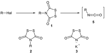 Graphical abstract: Synthetic and structural studies on 1,2,4-dithiazolidine-3,5-dione derivatives