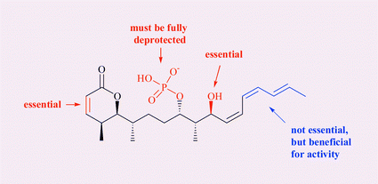 Graphical abstract: Synthesis and biological evaluation of cytostatin analogues