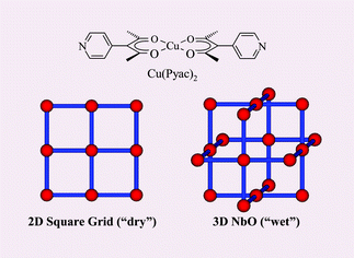 Graphical abstract: Solvent-dependent 44 square grid and 64.82 NbO frameworks formed by Cu(Pyac)2 (bis[3-(4-pyridyl)pentane-2,4-dionato]copper(ii))