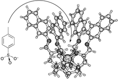 Graphical abstract: Metal ion-activated molecular receptors for aromatic anions with receptor cavities formed from 1- or 2-naphthyloxy moieties appended to cyclen