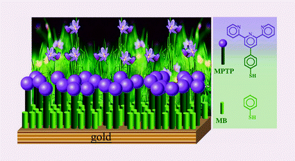 Graphical abstract: Organized assemblies of thiol-terpyridine and thiophenol on gold surfaces: preferential composition of mixed species evidenced