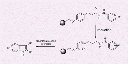 Graphical abstract: Traceless Fischer indole synthesis on the solid phase