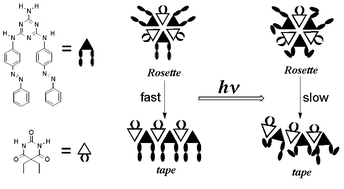 Graphical abstract: Photoresponsive melamine·barbiturate hydrogen-bonded assembly