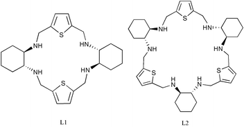 Graphical abstract: Novel chiral N4S2- and N6S3-donor macrocyclic ligands: synthesis, protonation constants, metal-ion binding and asymmetric catalysis in the Henry reaction