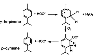 Graphical abstract: Absolute rate constants and transient intermediates in the free-radical-induced peroxidation of γ-terpinene, an unusual hydrocarbon antioxidant