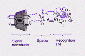 Graphical abstract: Highly selective recognition of lead ion in water by a podand fluoroionophore/γ-cyclodextrin complex sensor