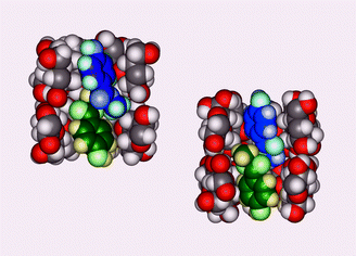 Graphical abstract: Crystallization of two forms of a cyclodextrin inclusion complex containing a common organic guest