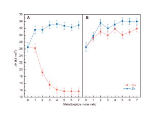 Graphical abstract: The different role of Cu++ and Zn++ ions in affecting the interaction of prion peptide PrP106-126 with model membranes