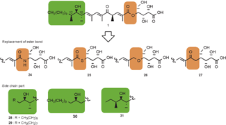 Graphical abstract: Chemistry and biology of khafrefungin. Large-scale synthesis, design, and structure–activity relationship of khafrefungin, an antifungal agent