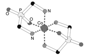 Graphical abstract: Complexes of divalent transition metal ions with bis(aminomethyl)phosphinic acid in aqueous solution and in the solid state