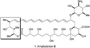 Graphical abstract: An enantioselective synthesis of the C(33)–C(37) fragment of Amphotericin B