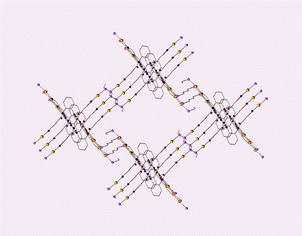 Graphical abstract: Ring-opening polymerization of gold macrocycles and self-assembly of a coordination polymer through hydrogen-bonding