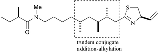 Graphical abstract: Total synthesis of (+)-kalkitoxin