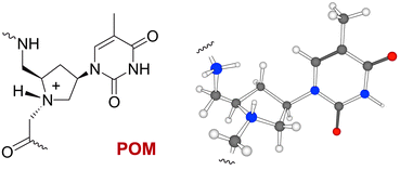 Graphical abstract: Design, synthesis, conformational analysis and nucleic acid hybridisation properties of thymidyl pyrrolidine-amide oligonucleotide mimics (POM)