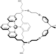 Graphical abstract: Palladium(ii)-directed formation of pseudo-rotaxanes : the 3 + 1 approach to threaded species using square-planar geometries