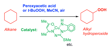 Graphical abstract: Alkane hydroperoxidation with peroxides catalysed by copper complexes