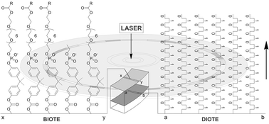 Graphical abstract: Molecular screening on a compact disc