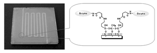 Graphical abstract: A simple method for surface modification of microchannels