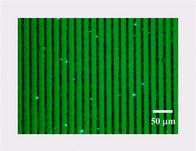 Graphical abstract: Site-selective dye deposition on microstructures of fused silica fabricated using the LIBWE method