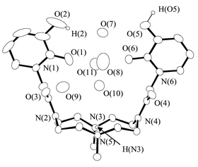 Graphical abstract: New ligand bearing preorganized binding side-arms interacting with ammonium cations: Synthesis, conformational studies and crystal structure