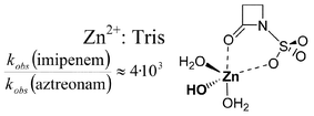 Graphical abstract: Zn2+ catalysed hydrolysis of β-lactams: experimental and theoretical studies on the influence of the β-lactam structure